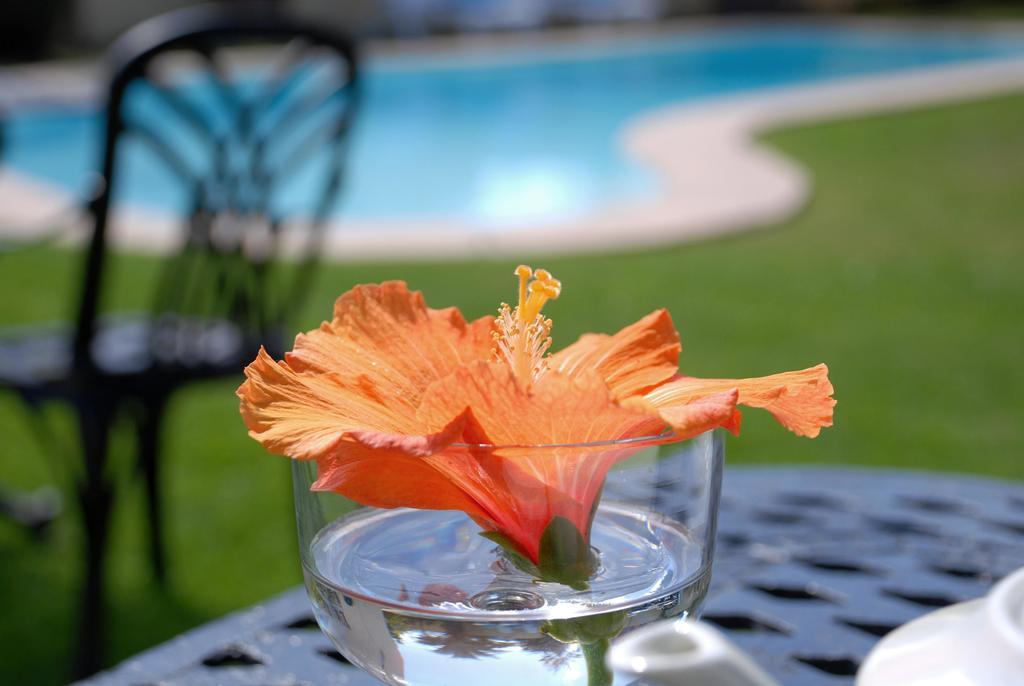 Mandalay Guest House Plettenberg Bay Exterior photo